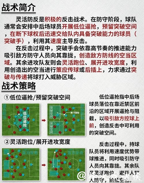 深入解读世界杯球队表现与战术分析 深入解读世界杯球队表现与战术分析